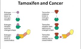 مصرف تاموکسیفن ممکن است به دلیل بروز علائم غیر مرتبط قطع شود