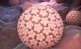 ویروس پاپیلومای انسانی چیست؟