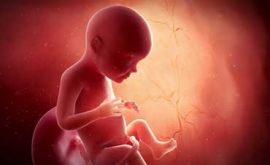 خطر کلستاز بارداری بر جنین | دکتر پرویندخت حیدری