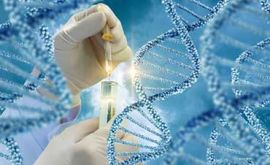 آزمایش ژنتیک برای سرطان | دکتر لیلا پیرزاده