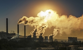 آلودگی هوا با خطر زایمان زودرس همراه است