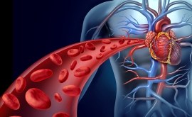 در طول یائسگی کلسترول خوب ممکن است اثرات محافظتی بر قلب نداشته باشد