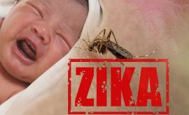 ویروس زیکا می تواند در اواخر بارداری آسیب مغزی برای جنین در پی داشته باشد