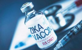 واکسن جدید زیکا قدرت محافظتی مناسبی را نشان داده است