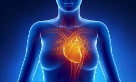 گرگرفتگی زودرس می تواند با ریسک بیماری های قلبی در ارتباط باشد