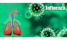 درمان آنفلوآنزا | دکتر حمید قربانی