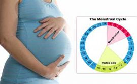 بهترین زمان بارداری در ماه | دکتر مژده حسینی