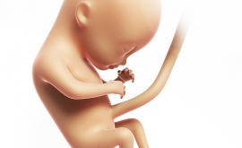 تست های انجام شده بر روی جفت می تواند میزان در معرض قرار گرفتن نوزاد با آرسنیک را مشخص نماید