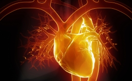 عوارض بارداری می تواند در آینده با بیماری های قلبی ارتباط داشته باشد