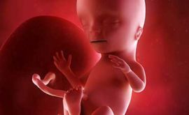 مشکلات جفت در بارداری | دکتر زهرا زارعیان
